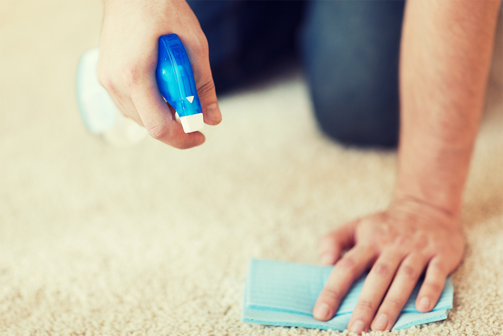 Comment nettoyer son tapis en profondeur en 5 étapes