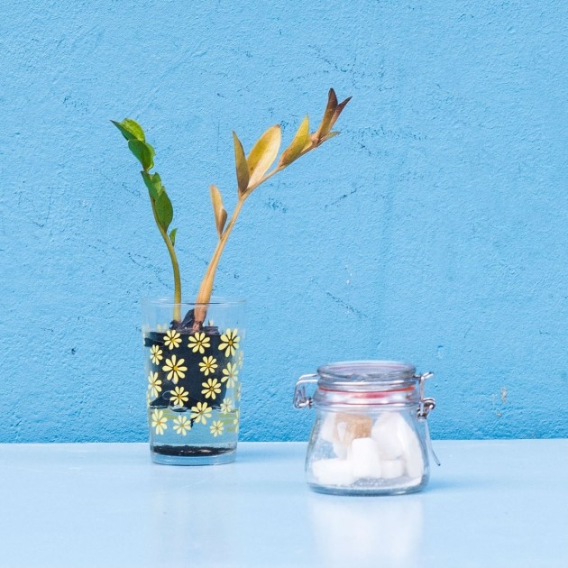 Do It Yourself: les vases recyclés