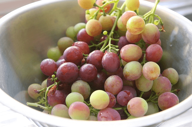 06_Grapes_and_berries (1)